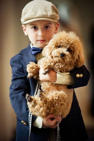 ▲▼             。（圖／毛起來提供）