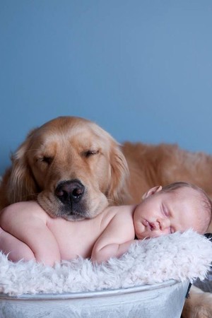 ▲▼             。（圖／毛起來提供）