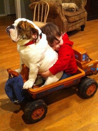 ▲▼             。（圖／毛起來提供）