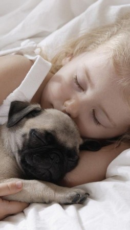 ▲▼             。（圖／毛起來提供）