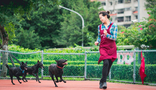 ▲▼收容所浪犬出籠嚇到石化！　志工花3年讓牠踏上草皮燦笑奔馳。（圖／新北市動保處提供）