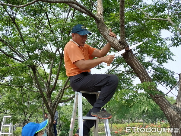 ▲▼樹藝師盧昕宏應屏東林管處之邀指導修剪樹木           。（圖／記者陳崑福翻攝）