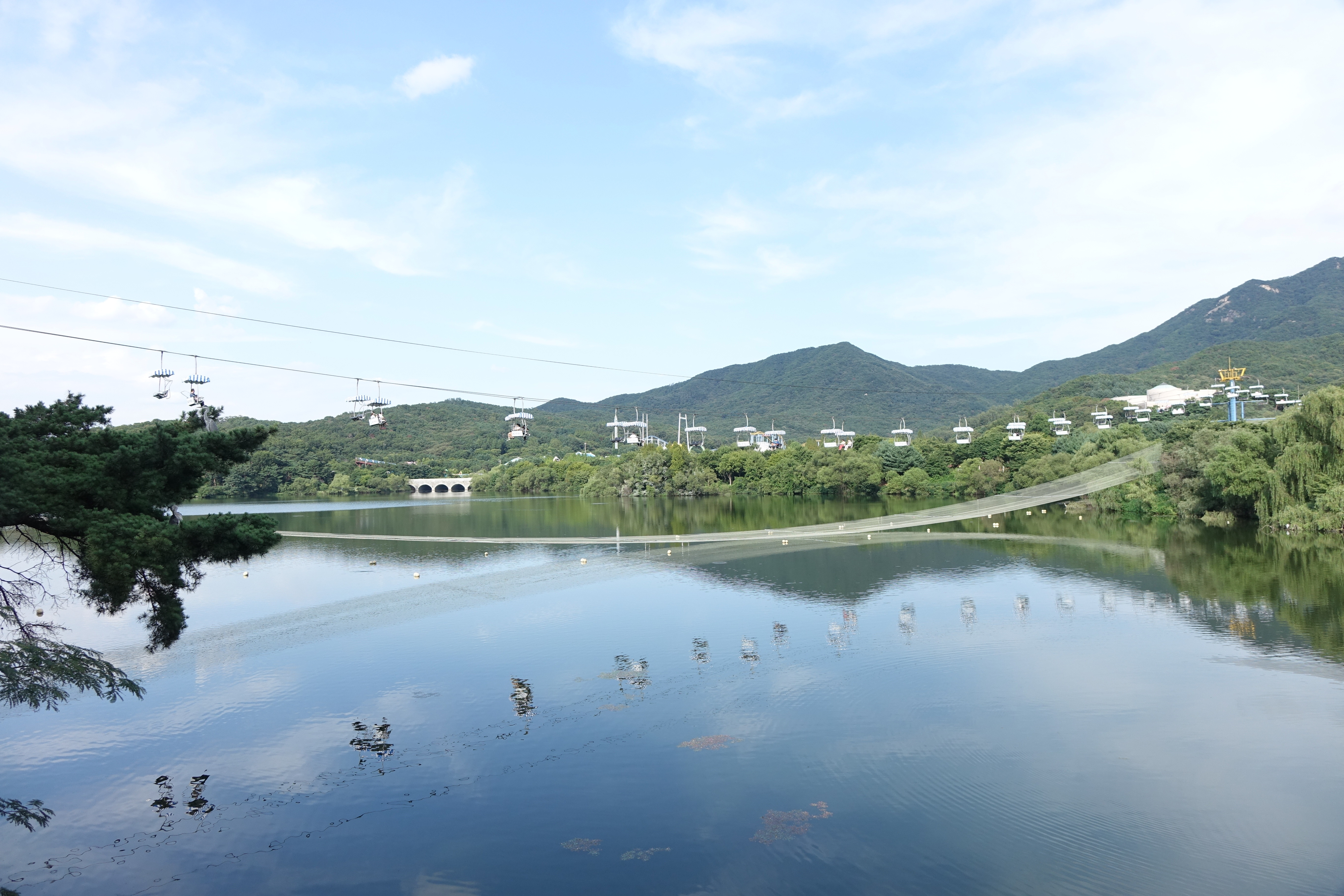 ▲▼首爾大公園（圖／翻攝自維基百科）