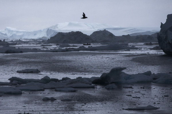 ▲▼  雅各布港冰河,Jakobshavn glacier。（圖／志影像／美聯社）