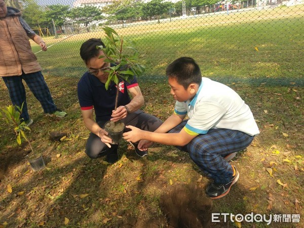 ▲成功國小小朋友人手1株春不老認真植樹。（圖／記者王兆麟翻攝，下同）