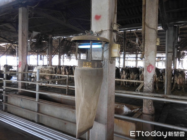 ▲台南市動保處呼籲防範牛流行熱，要打疫苗及捕蚊措施不能少。（圖／記者林悅翻攝，下同）