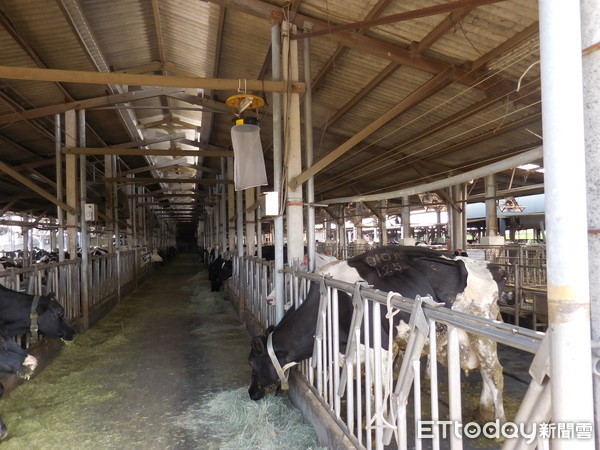 ▲台南市動保處呼籲防範牛流行熱，要打疫苗及捕蚊措施不能少。（圖／記者林悅翻攝，下同）