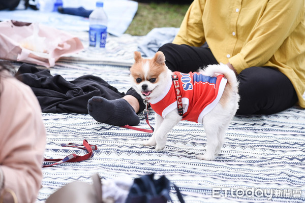 ▲▼好朋友野餐日。（圖／記者林敬旻攝）