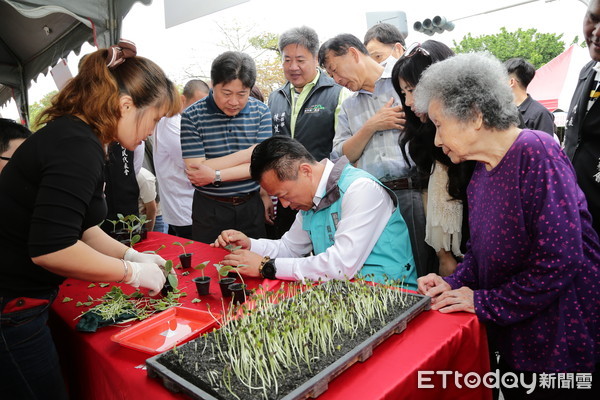 ▲▼ 鹿草西瓜節西瓜免費吃。（圖／嘉義縣政府提供，下同）