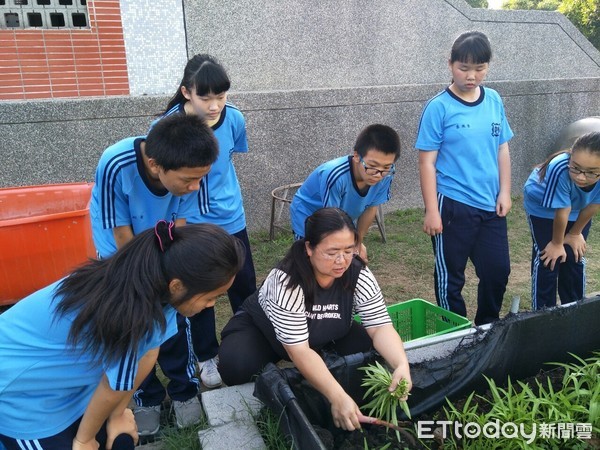 ▲▼布袋國中開闢農場，蔬菜自重天然有機。（圖／嘉義縣政府提供，下同）