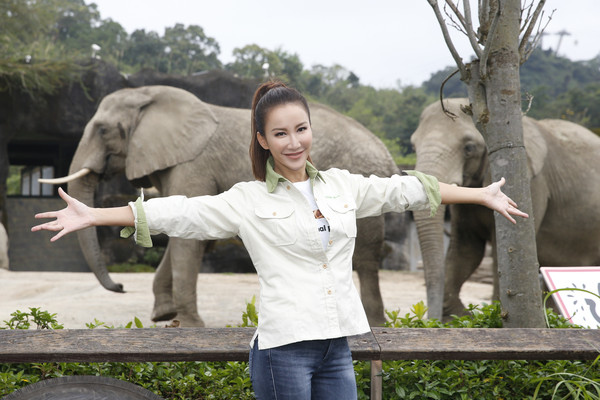 李玟現身動物園！捲衣袖為象鏟屎。（圖／動物星球頻道提供）