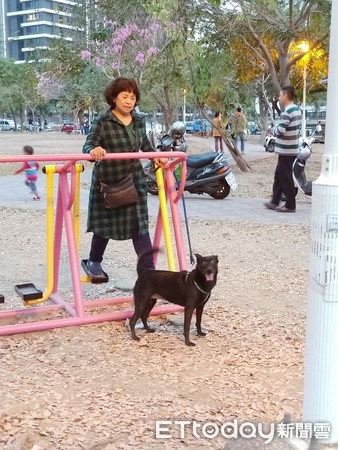 弟弟畫愛犬…本尊見抽象畫像驚恐。（圖／飼主戴婷婷提供，請勿隨意翻拍，以免侵權。）