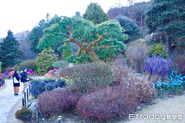 ▲加平晨靜樹木園。（圖／記者陳羿妏攝）