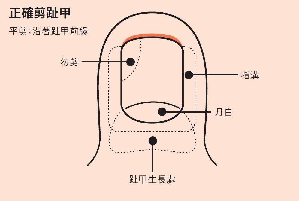 ▲▼指甲,。（圖／時報出版提供）