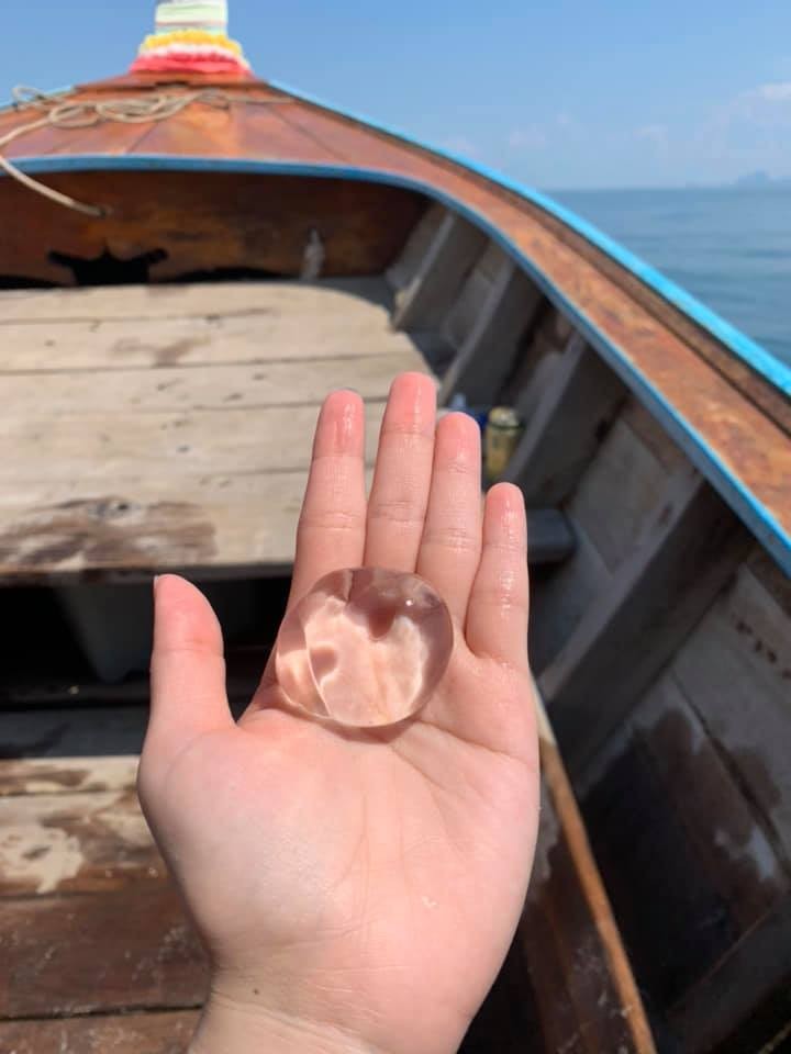 ▲▼女網友在海邊發現一團團透明的東西。果凍水母。（圖／翻攝臉書爆廢公社）
