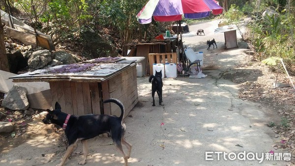 ▲採光通風佳！「仙境膠囊旅館」一樓已客滿　飼主搶訂：還有房嗎。（圖／有點毛毛的／網友曾志豪）