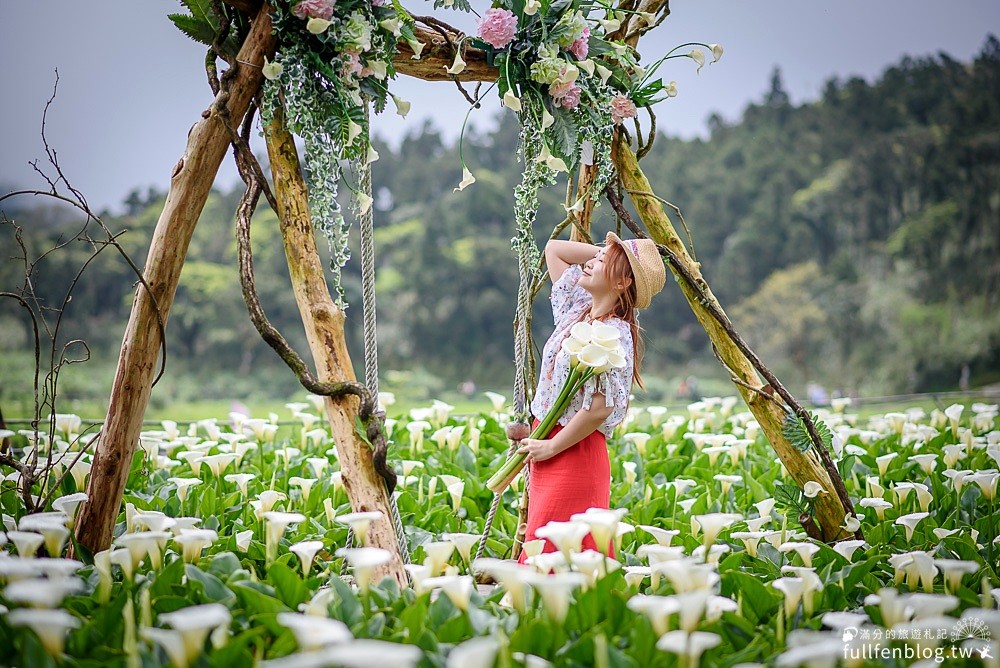 女孩衝啊 陽明山人氣海芋田盪鞦韆整片雪白世界猶如仙境 Ettoday旅遊雲 Ettoday新聞雲