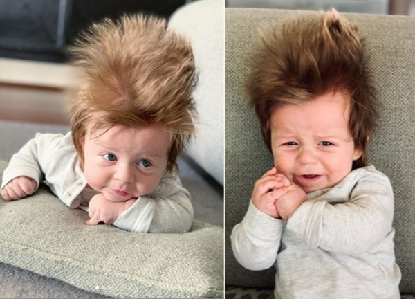 ▲▼4個月大的嬰兒波士頓擁有一頭衝天怒髮。（圖／Instagram／tarasimich）
