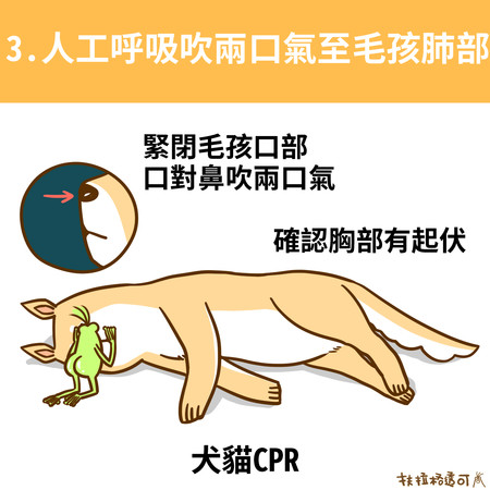 貓狗CPR。（圖／扶拉格透可）