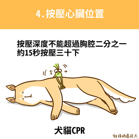 貓狗CPR。（圖／扶拉格透可）