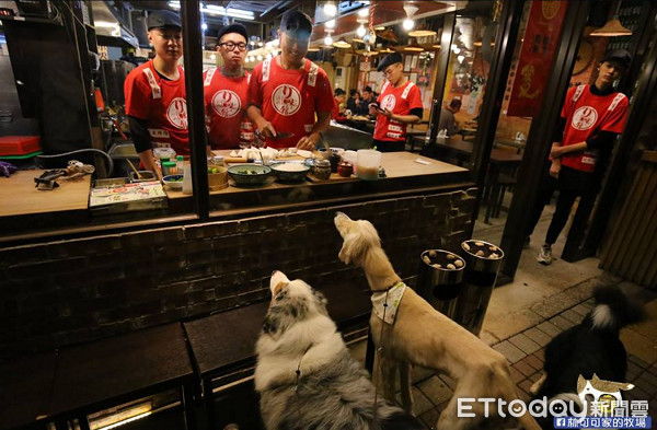 ▲▼牧羊犬逛街「沿路討食」。（圖／粉絲專頁「邊境牧羊犬-林可可」授權提供）