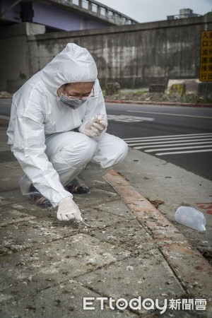 ▲整群野鴿18樓天窗築巢長住　遺留羽毛、糞便住戶超崩潰。（圖／新北市動保處提供）