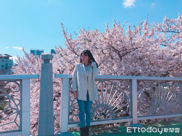 ▲▼韓國櫻花,韓國賞櫻,新山公園。（圖／記者賴文萱攝）