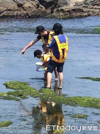 ▲ 基隆和平島想幫「海兔」搬家 牠們卻先走一步。（圖／交通部觀光局北觀處提供）