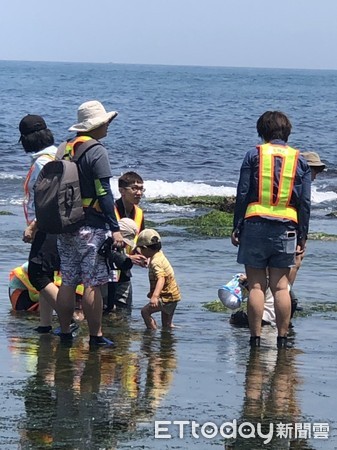 ▲ 基隆和平島想幫「海兔」搬家 牠們卻先走一步。（圖／交通部觀光局北觀處提供）