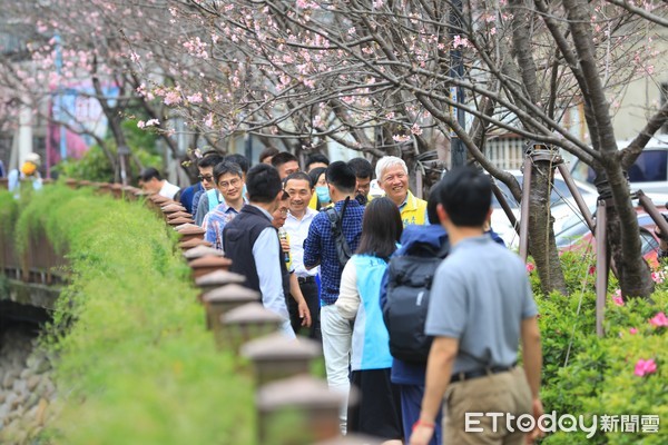 ▲ 土城「希望之河」整治有成 侯友宜化身導遊帶路賞櫻。（圖／新北市民政局提供）