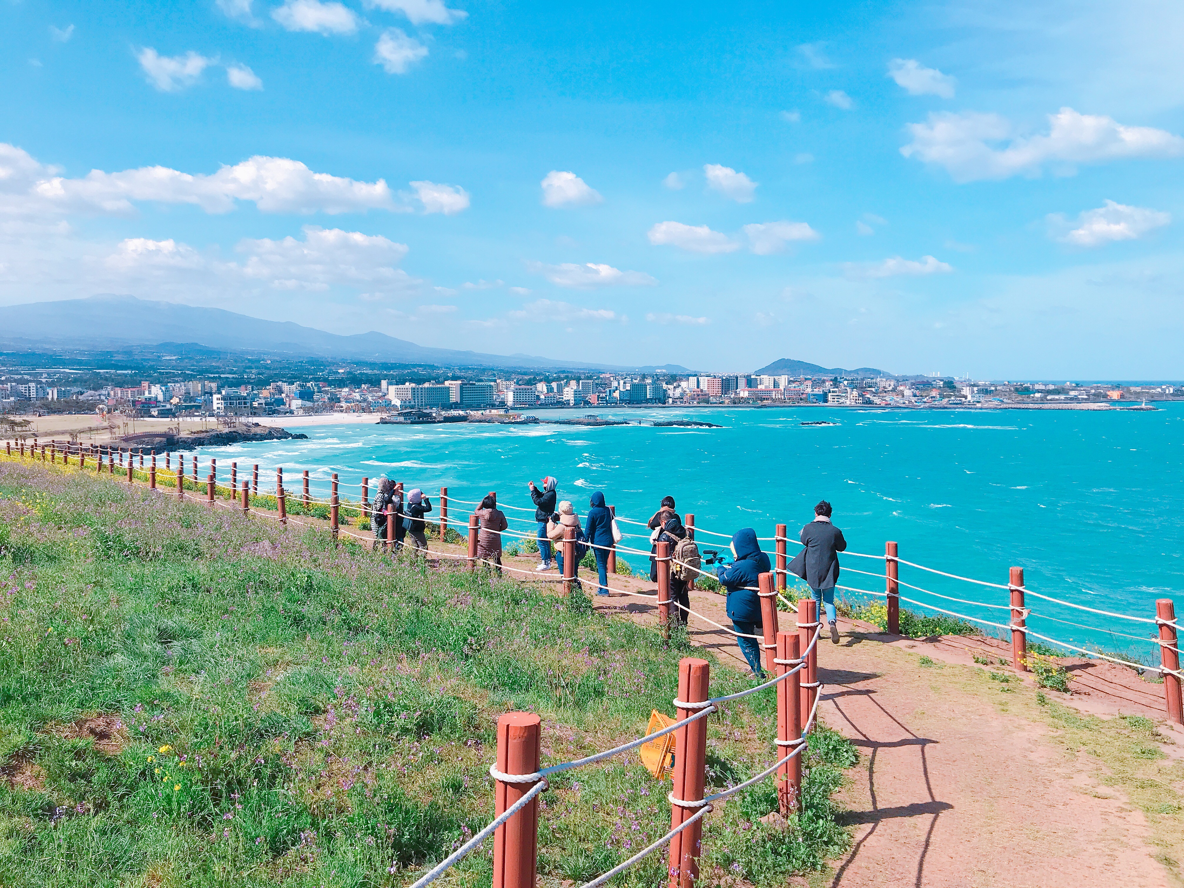 ▲▼韓國濟州島咸德犀牛峰油菜花田。（圖／記者賴文萱攝）