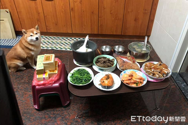 ▲▼柴犬緊盯祭拜食物讓神明壓力好大！（圖／網友吳宣儀授權提供）