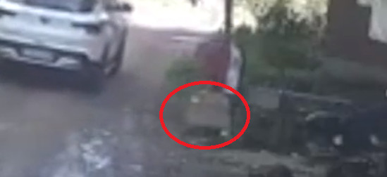 ▲▼鬥雞被偷。（圖／新京報、微博／永康公安）