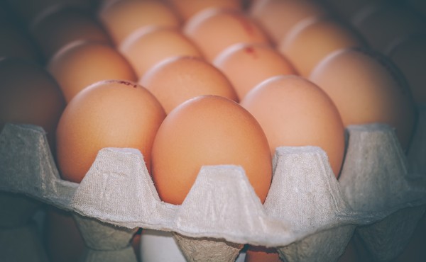 ▲▼雞蛋,蛋。（圖／取自免費圖庫pixabay） 