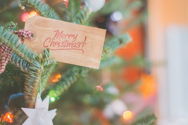 ▲聖誕卡片,聖誕樹,聖誕節,耶誕節。（圖／取自免費圖庫Pexels）