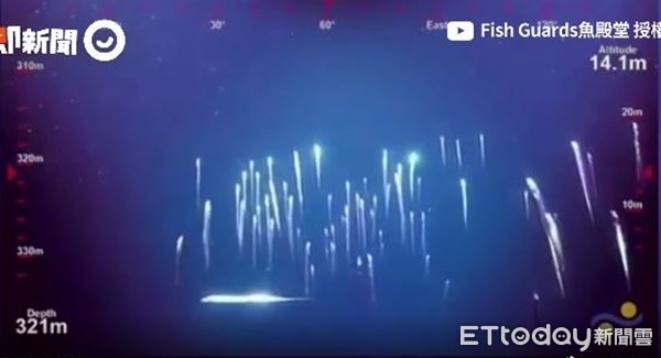 ▲白龍化身！白帶魚海下13M「閃爍銀光」　整齊排隊超療癒（圖／翻攝自即新聞）