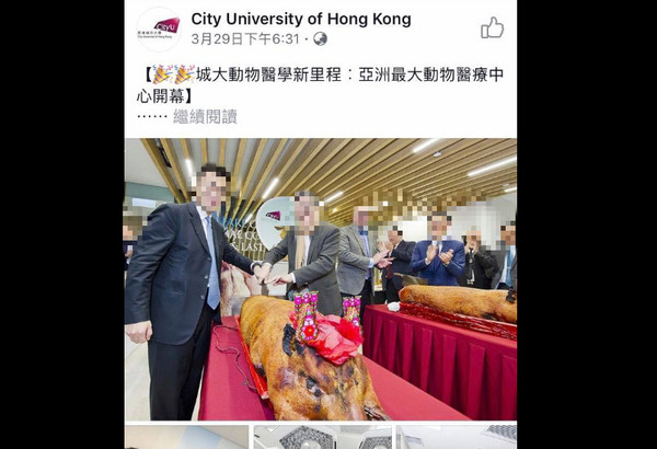 香港城市大學用烤豬慶祝獸醫院開幕，遭砲轟。（圖／翻攝自City University of Hong Kong臉書）