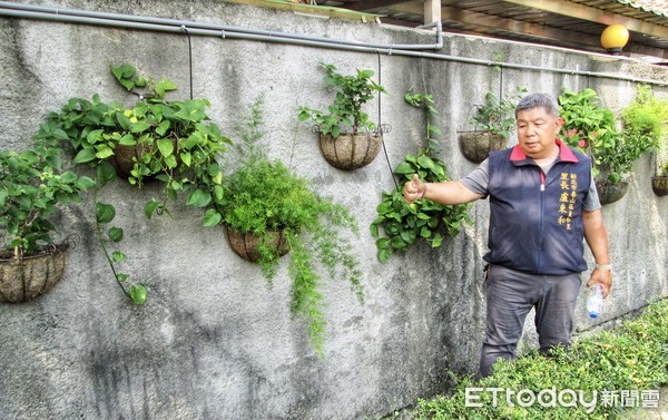 ▲ 泰山里長盧東和打造「樂活園」 種植四季蔬菜供老人共餐做公益。（圖／新北市民政局提供）