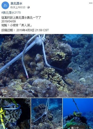 小琉球美人洞活體珊瑚遭以繩索和D字環綁成一團打樁，引來潛水迷撻伐。（靠北潛水臉書）