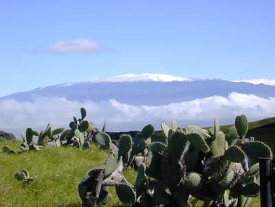 ▲▼毛納基火山,茂納凱亞火山（夏威夷語：Mauna Kea，意為「白山」）。（圖／翻攝自維基百科）