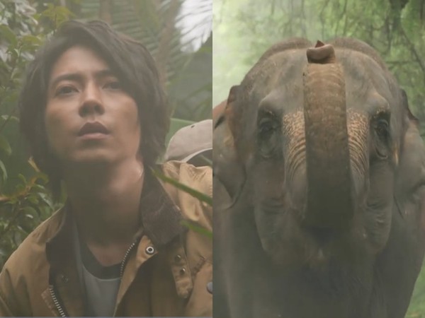 ▲山下智久《破案神手》首集就撩大象，見動物就飆情話。（圖／翻攝自推特截圖）