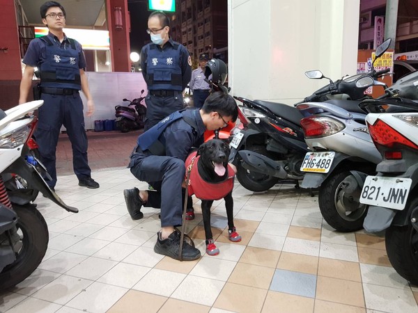 ▲護國神犬出動！竹市警夜間大規模掃蕩　杜絕街頭暴力。（圖／新竹市警局提供）