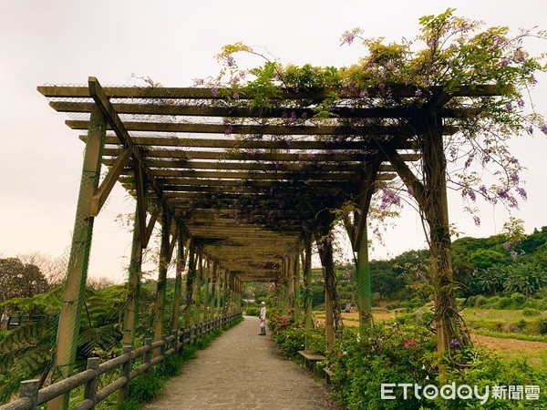 ▲三芝三生步道 。（圖／記者彭懷玉攝）