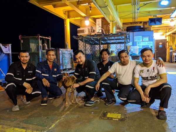 ▲▼▲▼小狗漂流外海220公里 幸運被鑽油工人救起。（圖／翻攝自Vitisak Payalaw臉書） 