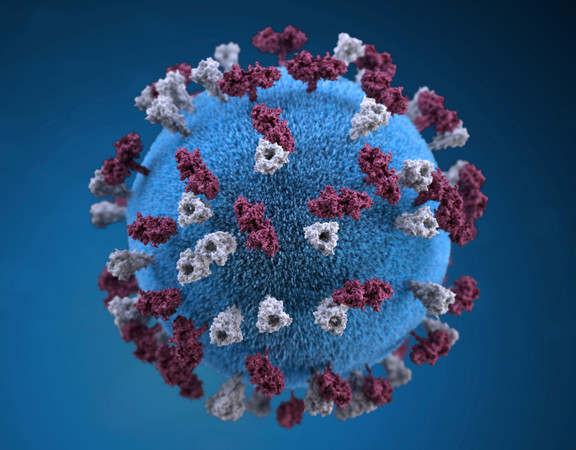 ▲▼麻疹疫情今年全球大爆發，提醒國人若要前往疫區旅行，應由醫生評估 。（圖／路透）