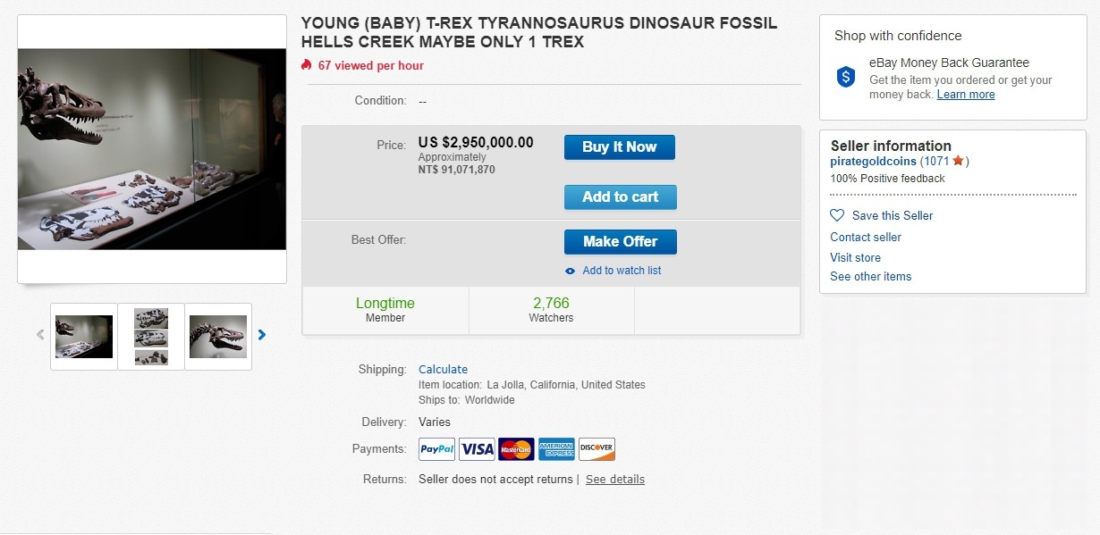 ▲▼暴龍寶寶化石現蹤拍賣網站ebay。（圖／翻攝ebay）