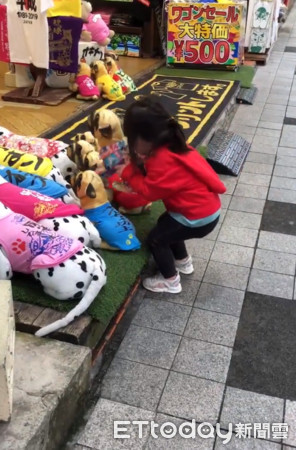 ▲▼  妹妹跟恐龍鞠躬           。（圖／網友Rena Tzou授權提供）