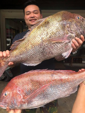 ▲花蓮6級地震「牠」先知！深海地震魚　連續數日湧現。（圖／誠食館提供）