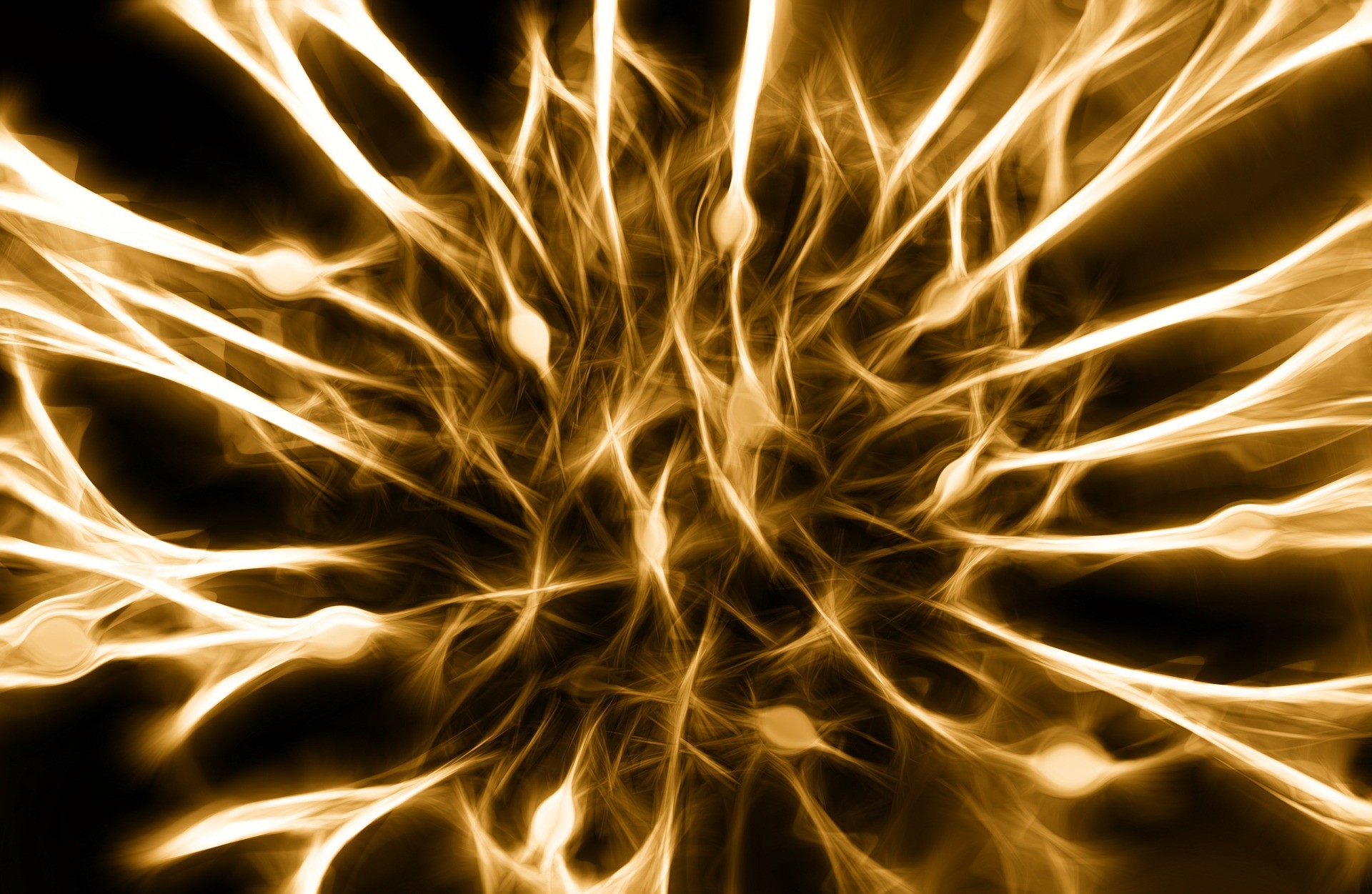 ▲▼神經,神經元。（圖／示意圖／pixabay）