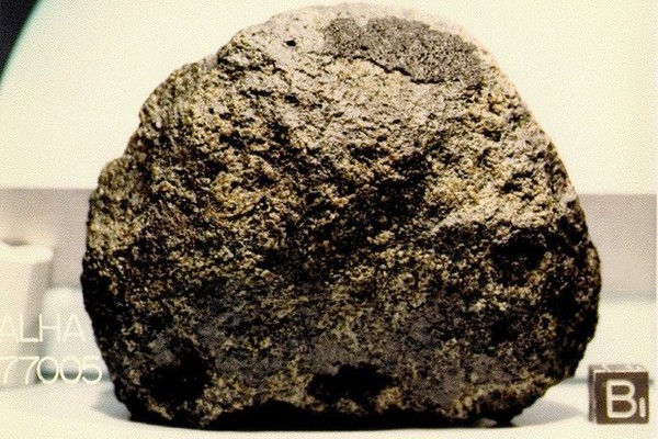 ▲在南極洲艾倫山發現的石Allan Hills 77005，被確認是一顆含「微生物痕跡」的火星隕石。(圖／NASA詹森中心官網)